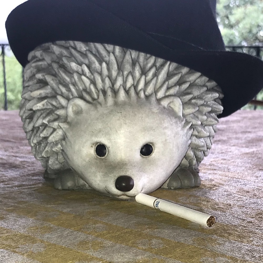 Meet your Posher, Libby